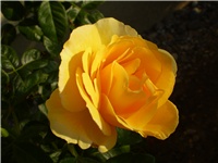 d3a790b4-Picture 3079.jpg